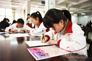 筆墨傳承，青春飛揚——2016彭城書法大賽海選第三站走進徐州高級中學